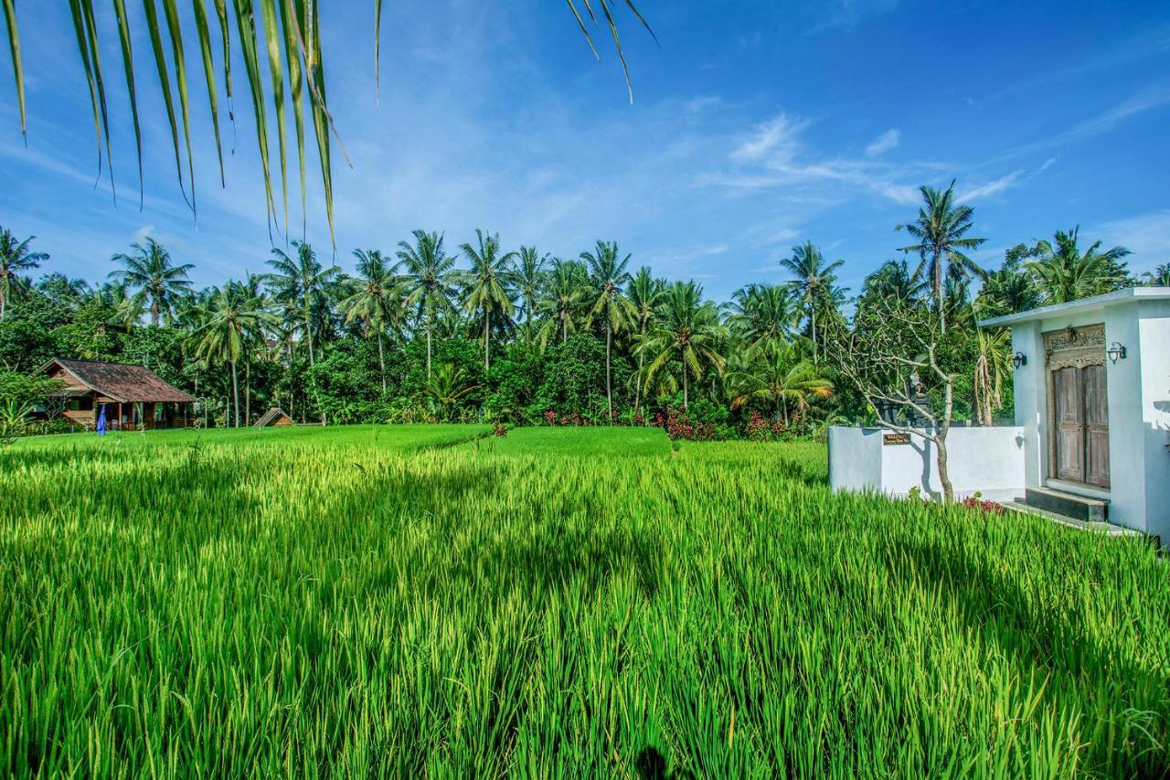Tamyang Ubud Villas Exterior foto